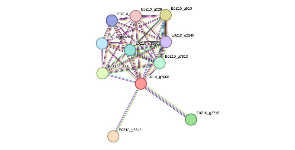 STRING protein interaction network