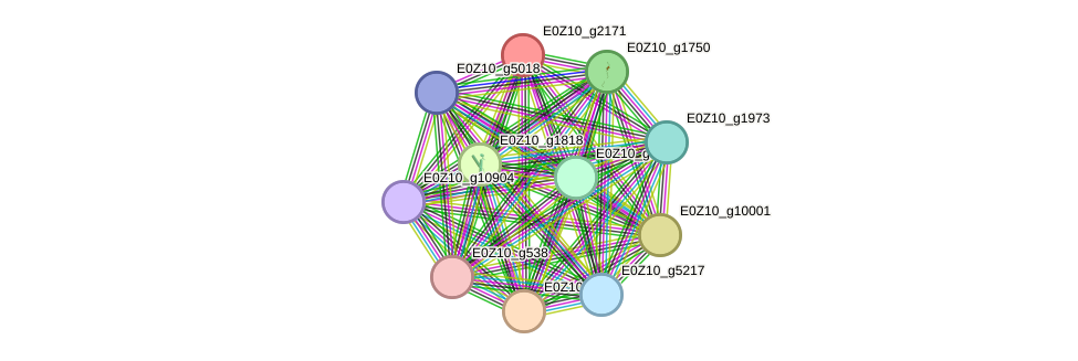 STRING protein interaction network