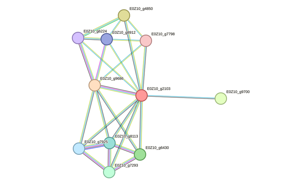 STRING protein interaction network