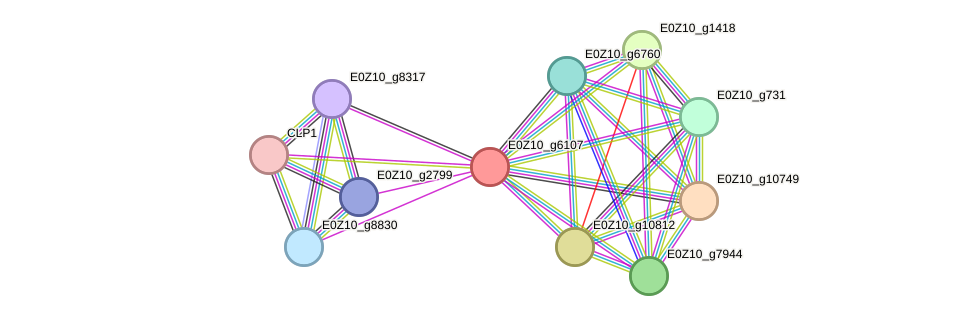 STRING protein interaction network