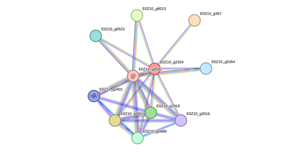 STRING protein interaction network