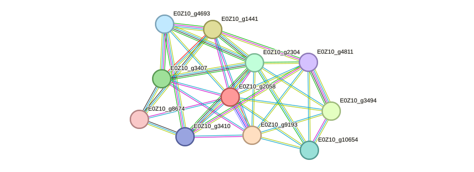 STRING protein interaction network