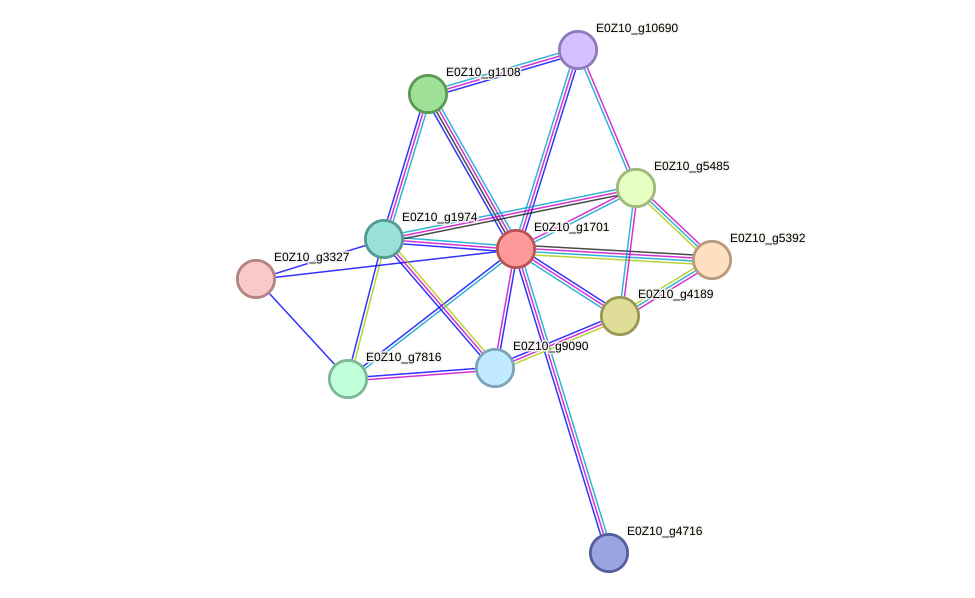 STRING protein interaction network
