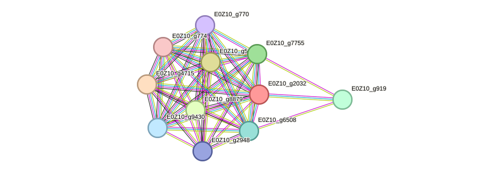 STRING protein interaction network