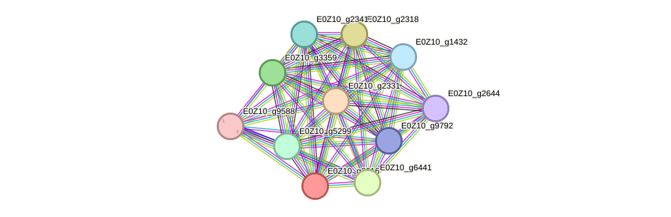 STRING protein interaction network