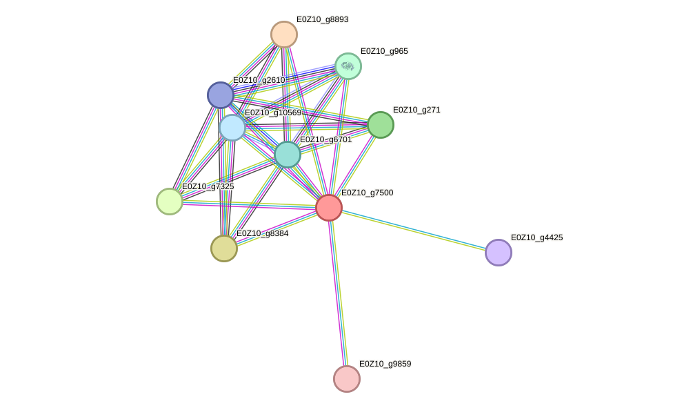 STRING protein interaction network