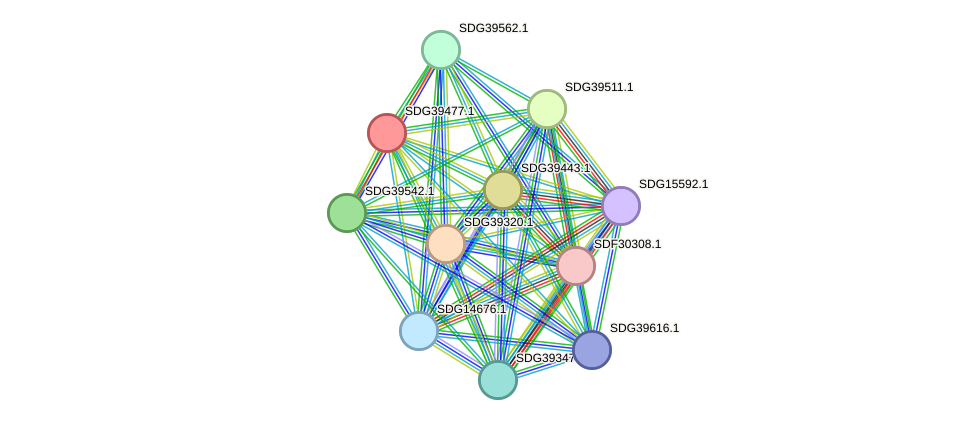 STRING protein interaction network