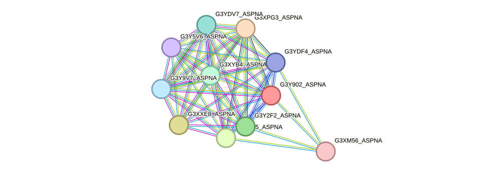 STRING protein interaction network