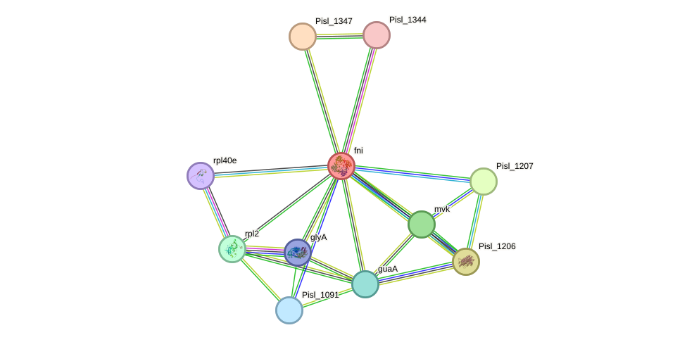 STRING protein interaction network