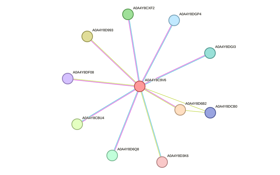 STRING protein interaction network