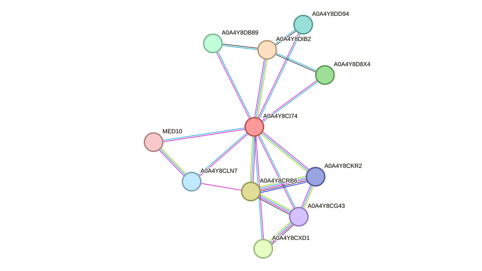 STRING protein interaction network