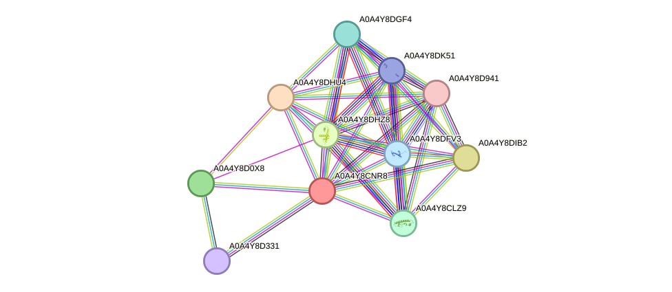 STRING protein interaction network