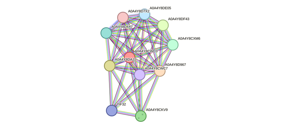STRING protein interaction network