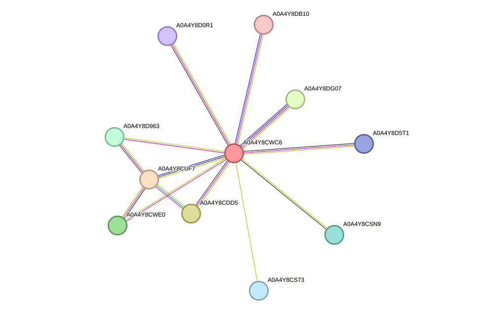 STRING protein interaction network