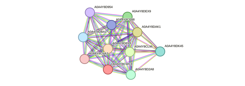 STRING protein interaction network
