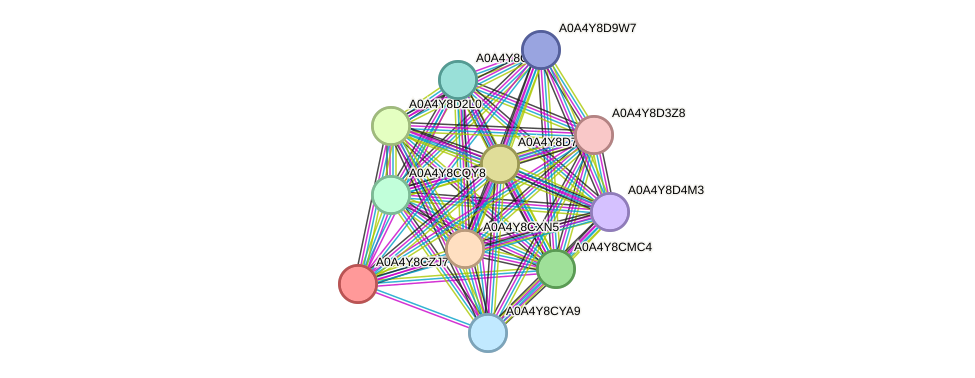 STRING protein interaction network