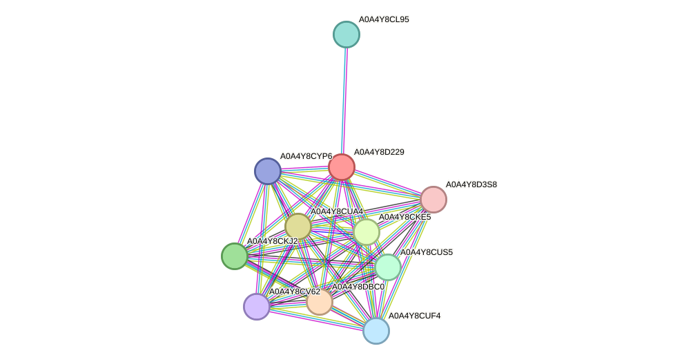 STRING protein interaction network