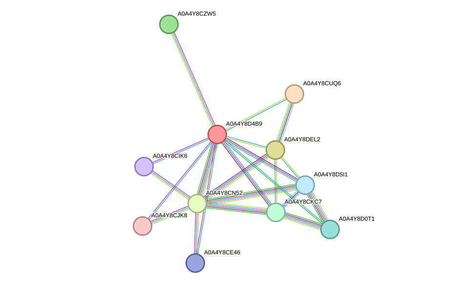 STRING protein interaction network