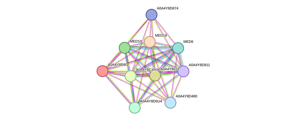 STRING protein interaction network