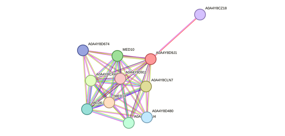 STRING protein interaction network