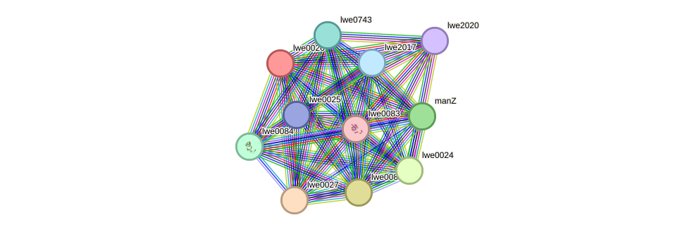 STRING protein interaction network