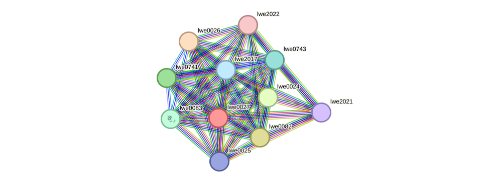 STRING protein interaction network