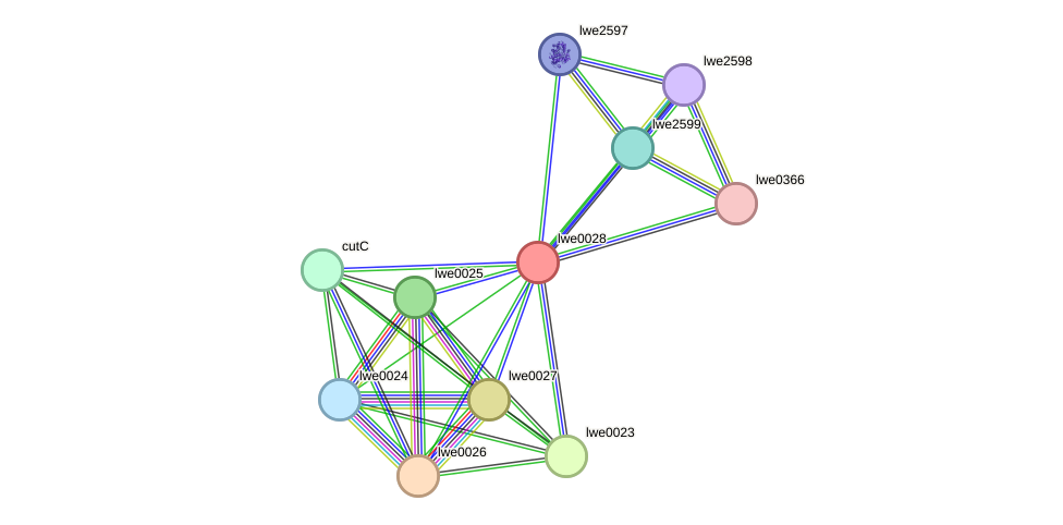 STRING protein interaction network