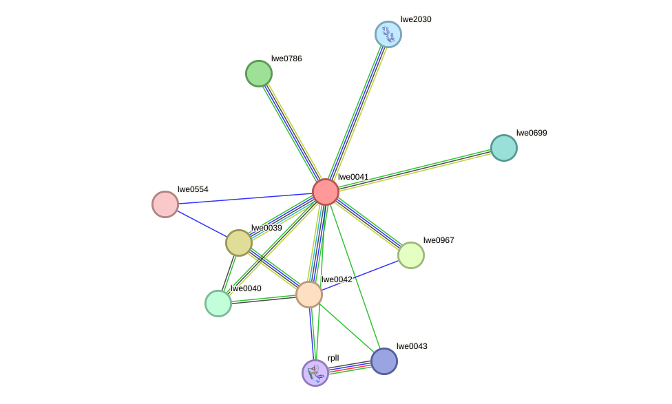 STRING protein interaction network