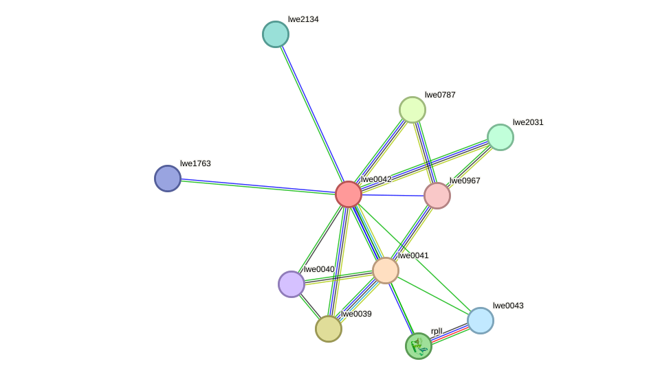 STRING protein interaction network