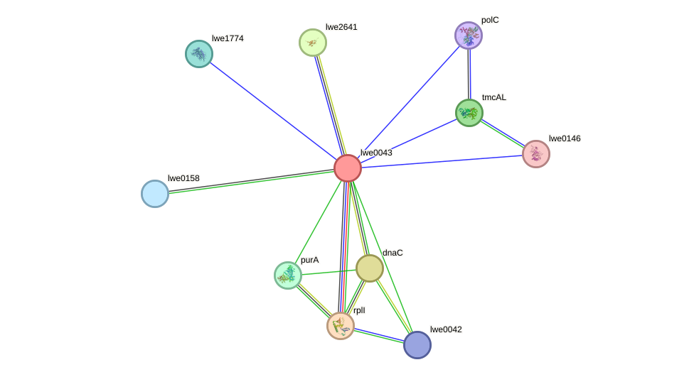 STRING protein interaction network
