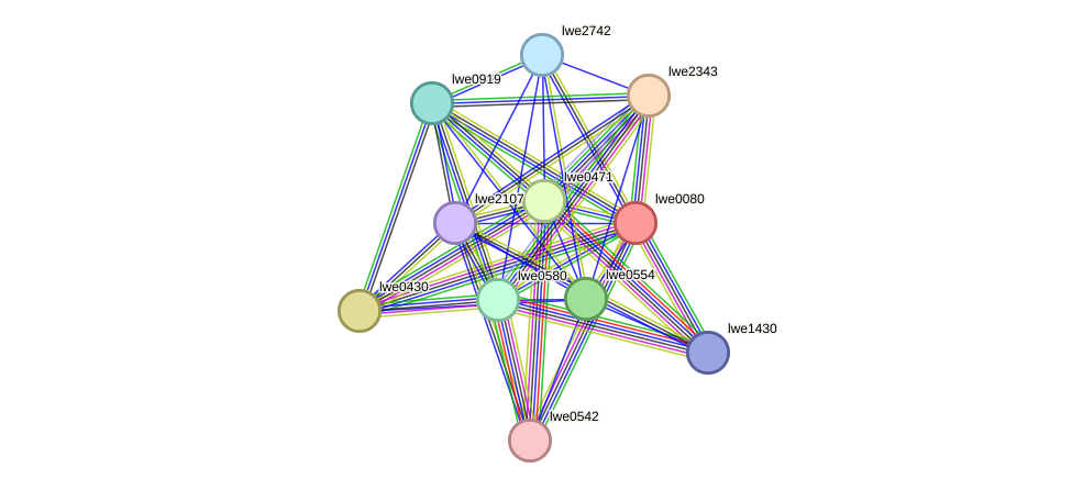 STRING protein interaction network