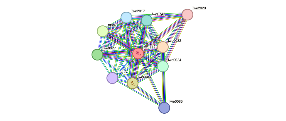 STRING protein interaction network