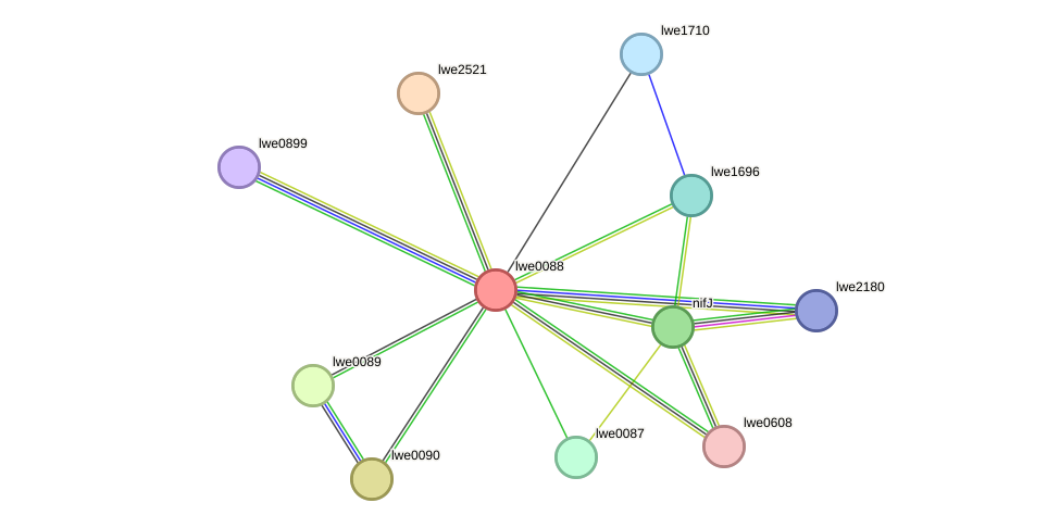 STRING protein interaction network