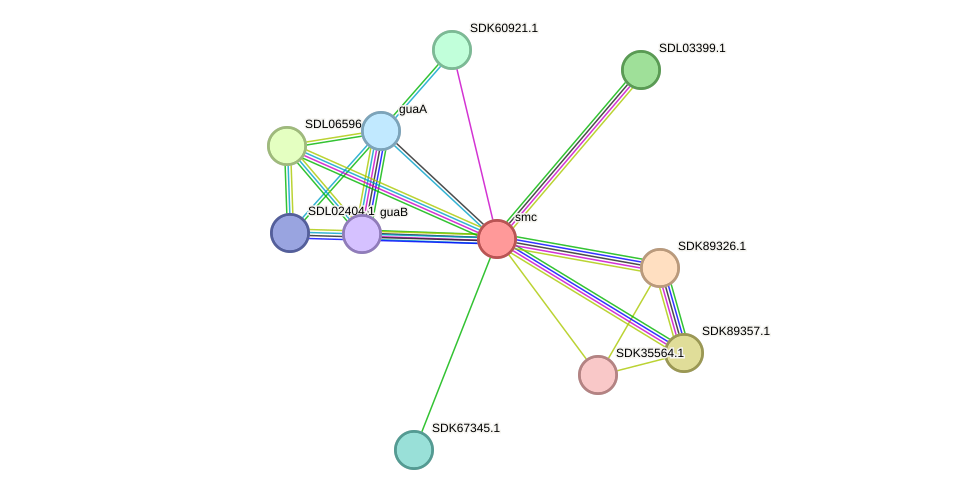 STRING protein interaction network