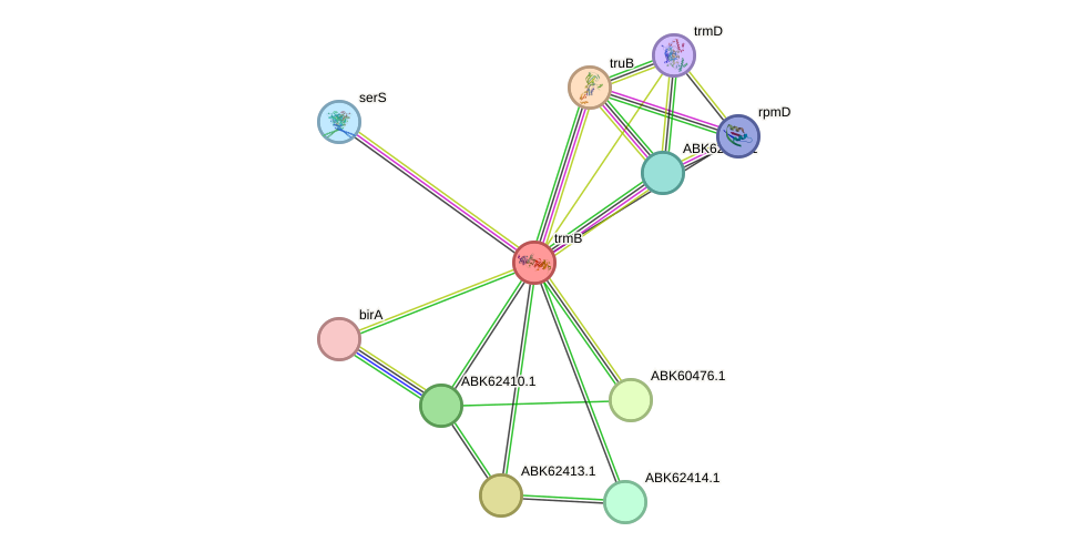 STRING protein interaction network