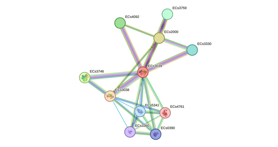 STRING protein interaction network