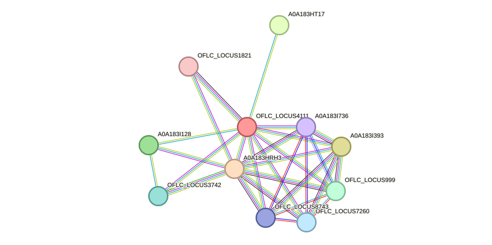 STRING protein interaction network