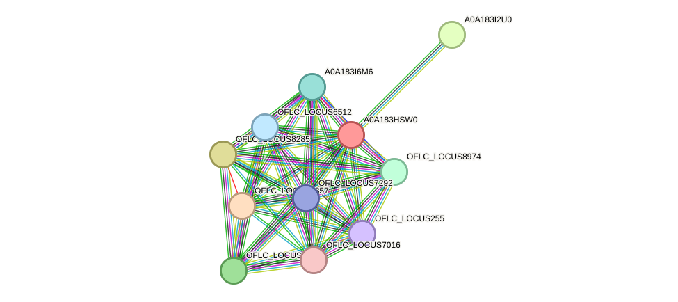 STRING protein interaction network