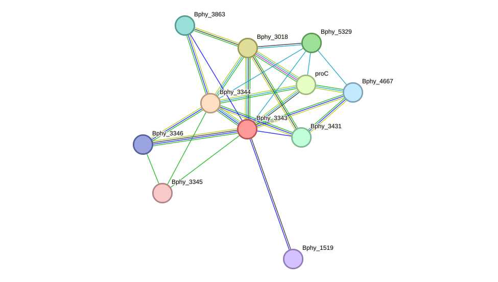 STRING protein interaction network