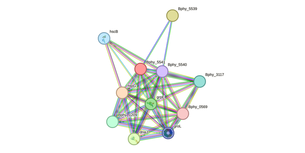 STRING protein interaction network