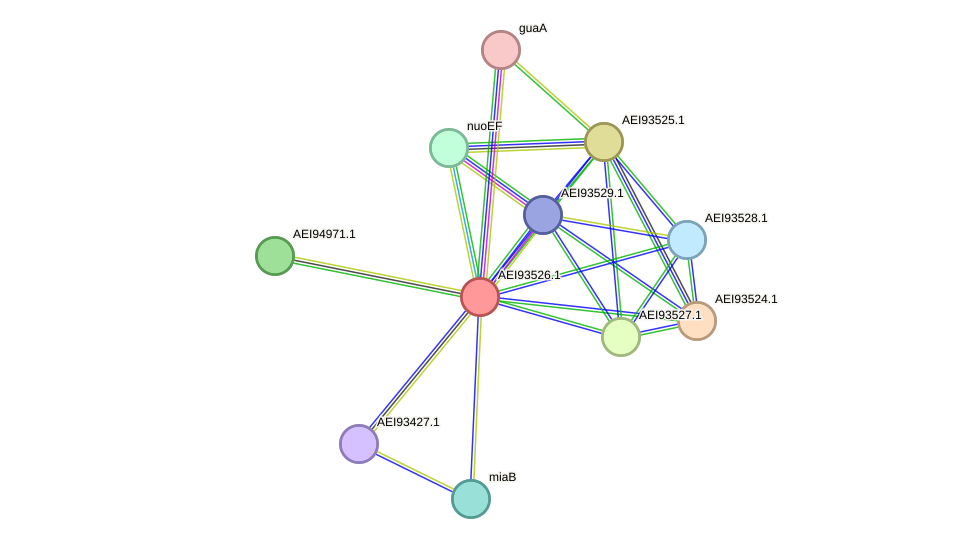 STRING protein interaction network