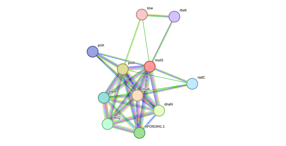 STRING protein interaction network