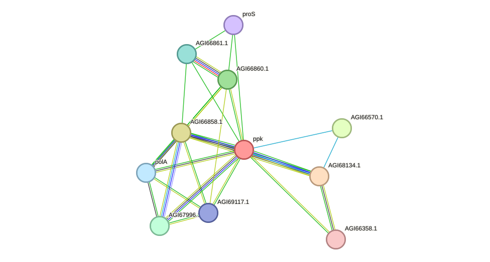 STRING protein interaction network