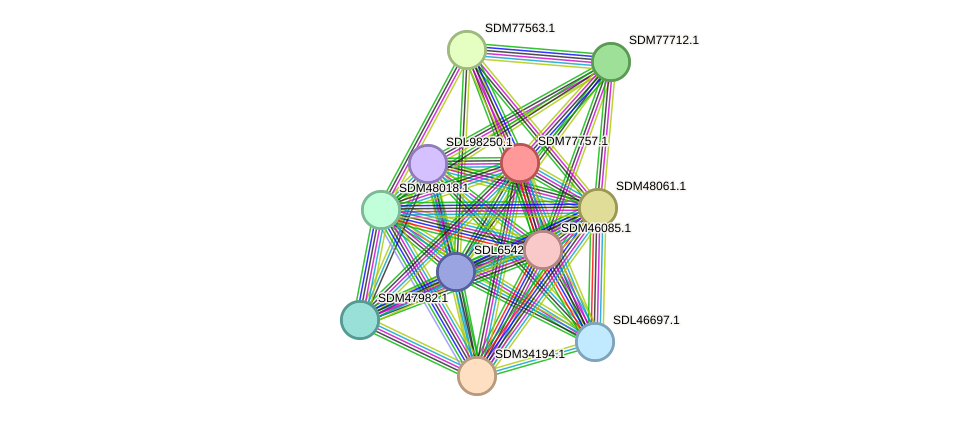 STRING protein interaction network