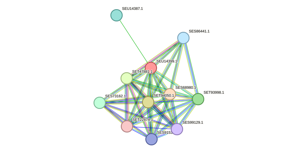 STRING protein interaction network