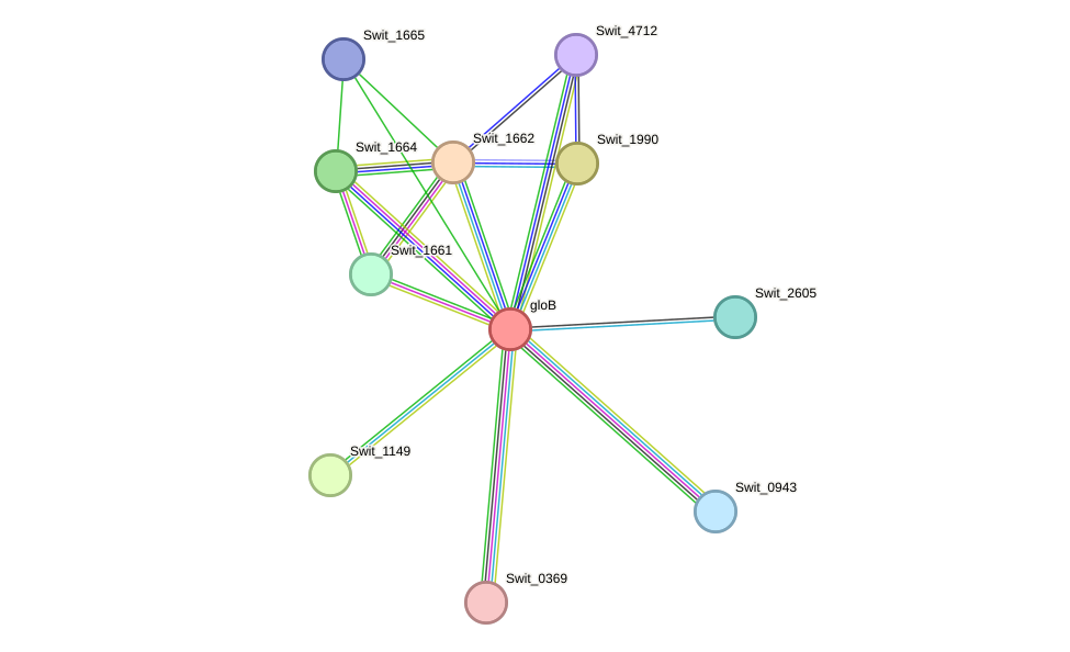 STRING protein interaction network