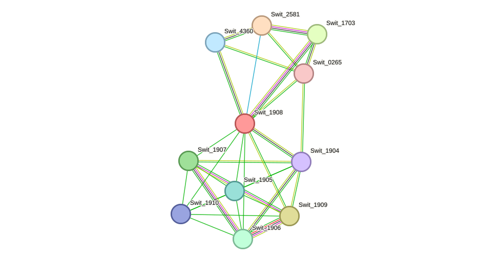 STRING protein interaction network