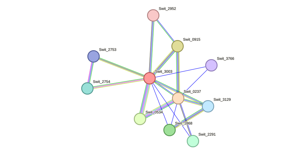 STRING protein interaction network