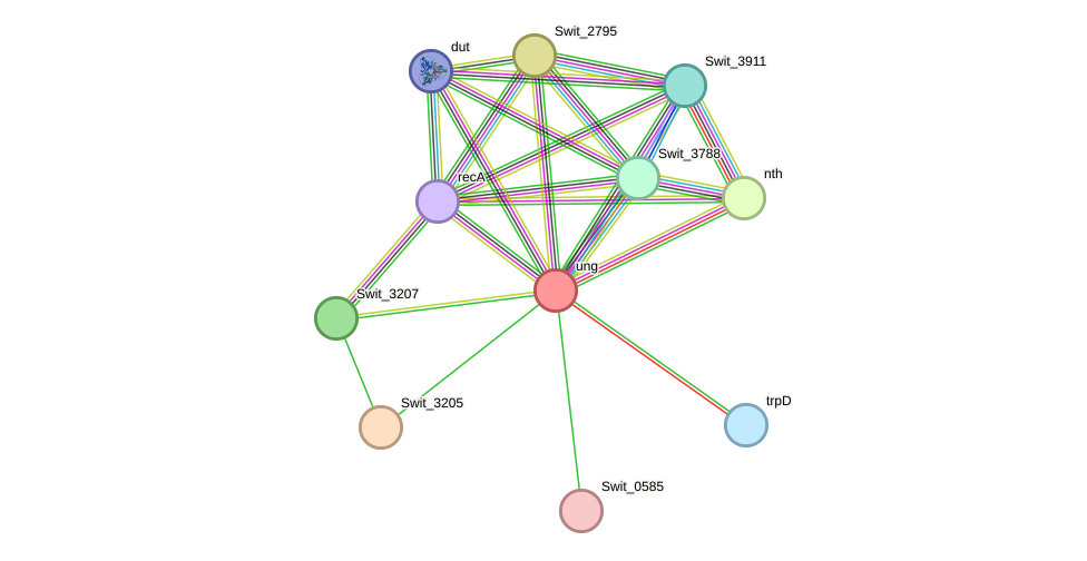 STRING protein interaction network