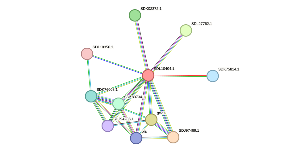 STRING protein interaction network